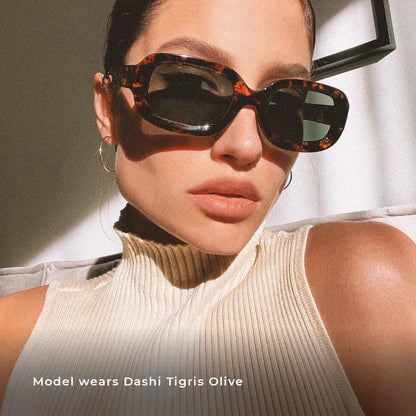 Dashi Sky Olive