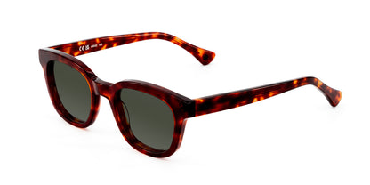 Glaz Tigris Olive