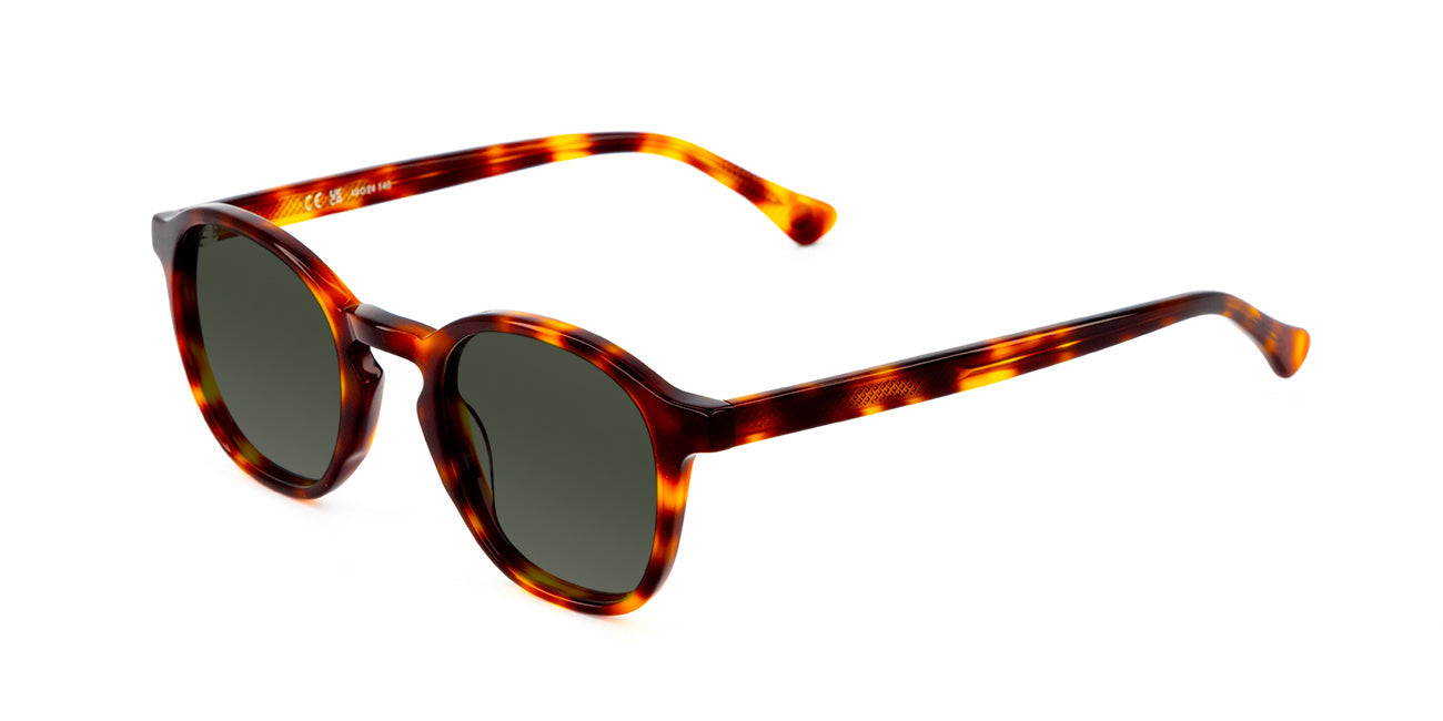 Iliso Tortoise Olive